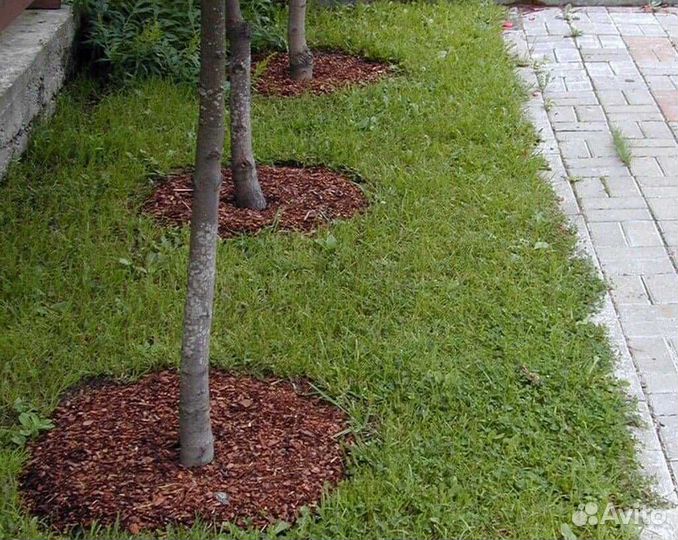 Сосновая кора мульча