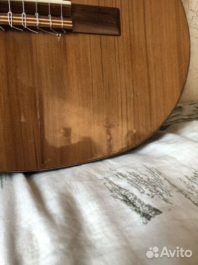 Гитара Kremona S65C