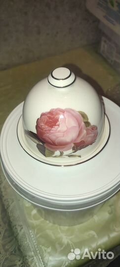 Лимонница фарфоровая