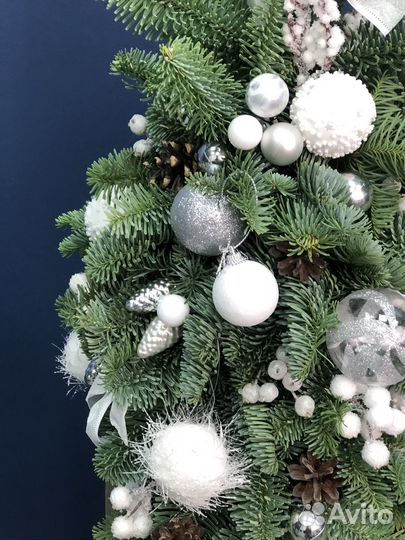 Елка новогодняя живая с доставкой