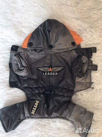 Одежда для собак