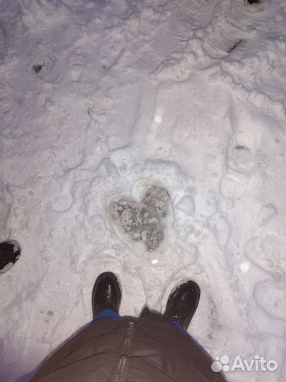 Пишу сочинения, эссе на ваши темы