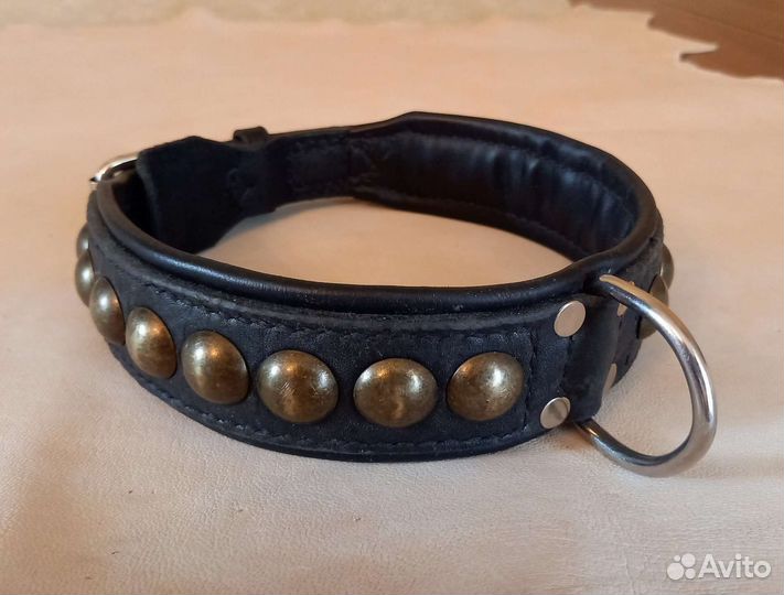 Ошейники для собак