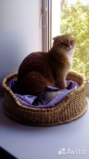 Лежанка для питомцев