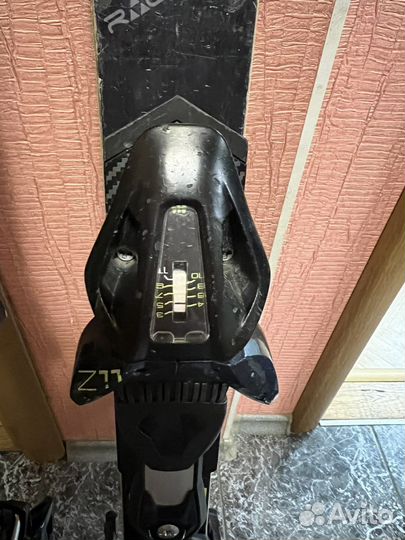 Горные лыжи Fisher RC4 world CUP GS 135