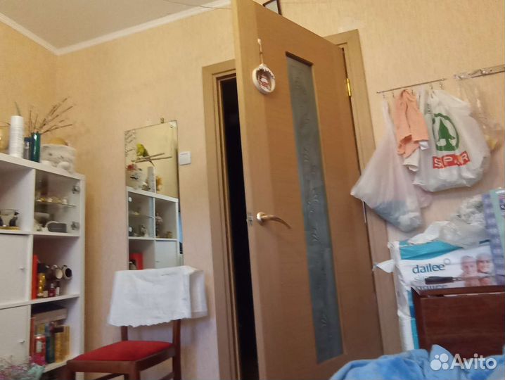 Волнистый попугай девочка