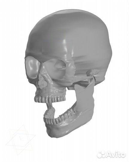 3Д модель черепа в компас 3Д