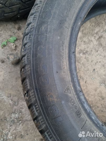 Tigar Prima 185/65 R15