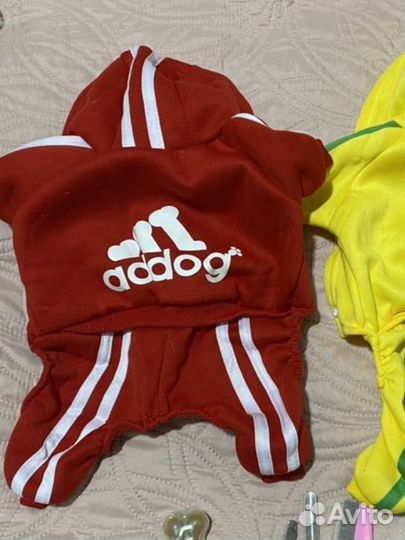 Одежда и инструменты для маленькой собачки