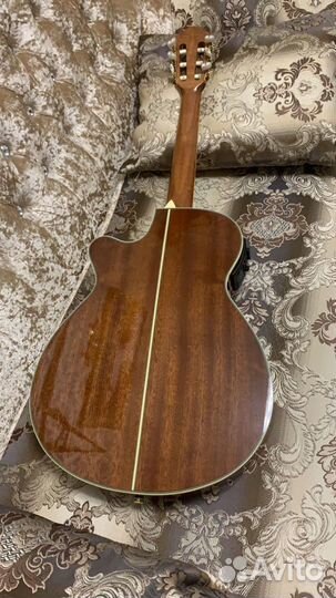 Электроакустическая гитара ibanez AEQ-SP1