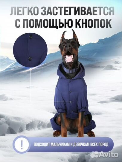 Одежда для крупных собак