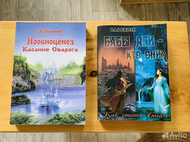 Шемшук книги