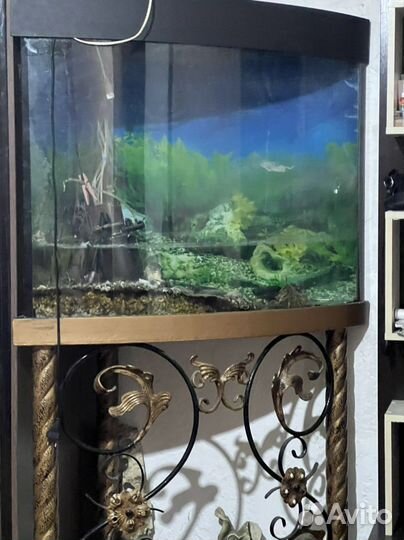 Аквариум