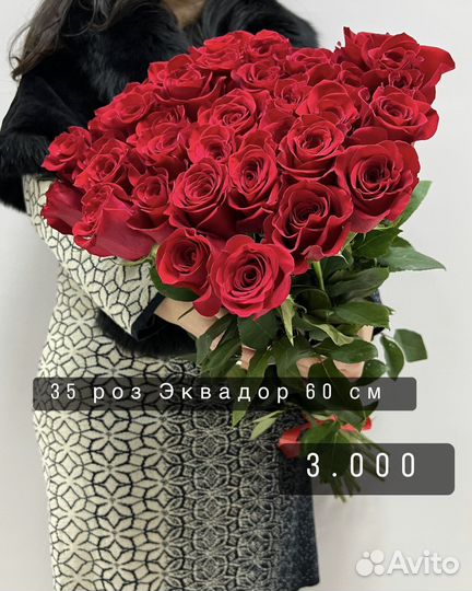 Букет 25 роз. Роза Эквадор оптом