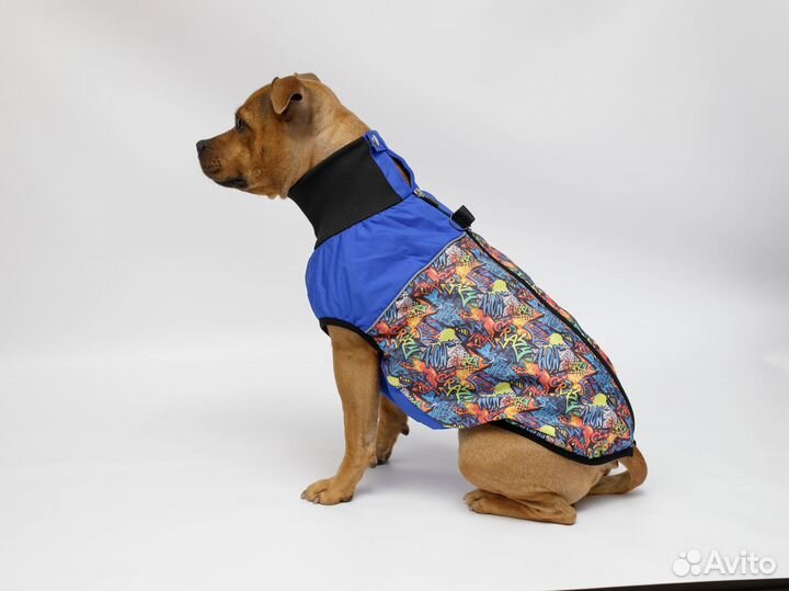 Жилет для собак