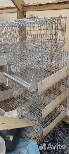Клетки для перепелов бу