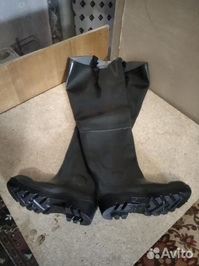 Забродники рыбацкие толстые