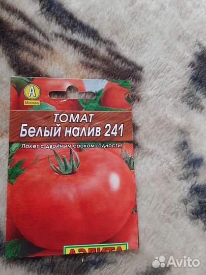 Рассада помидор