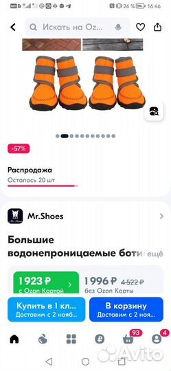 Обувь для собак мелких пород