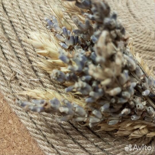 Мастер Класс 