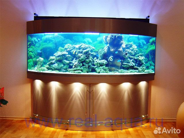 Аквариумы морские и пресноводные для дома и офиса