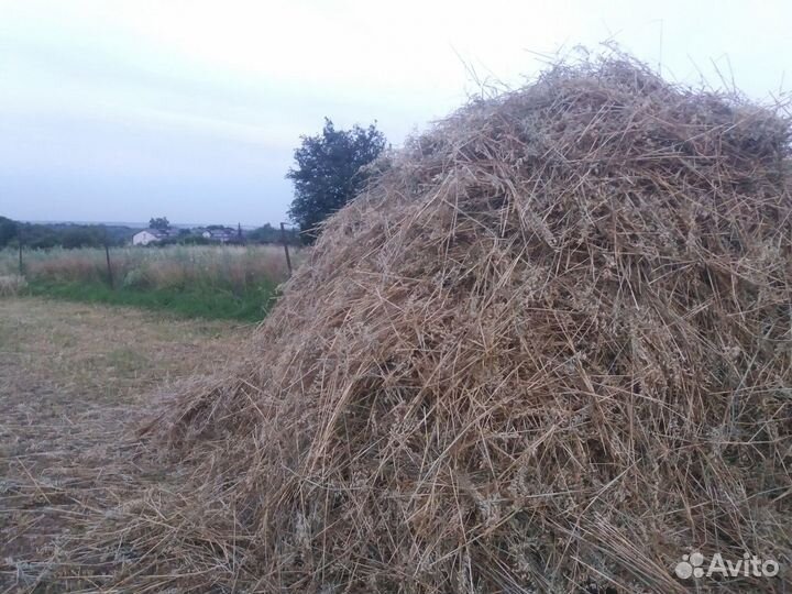 Сено, солома, листья дубовые, мульча, дрова