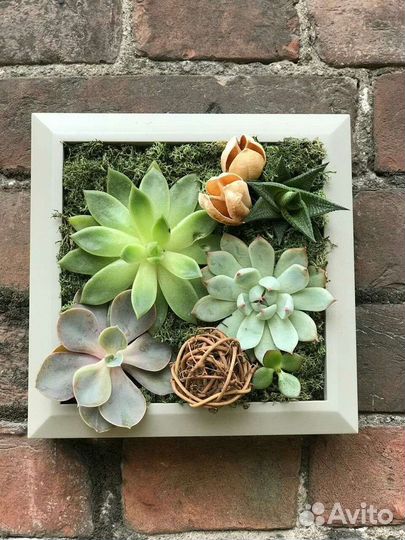 Картины из живых цветов