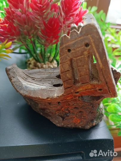 Растения для флорариума, аквариума