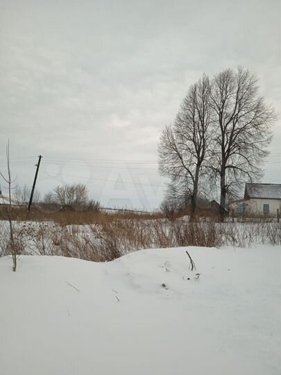 Участок 54 сот. (СНТ, ДНП)