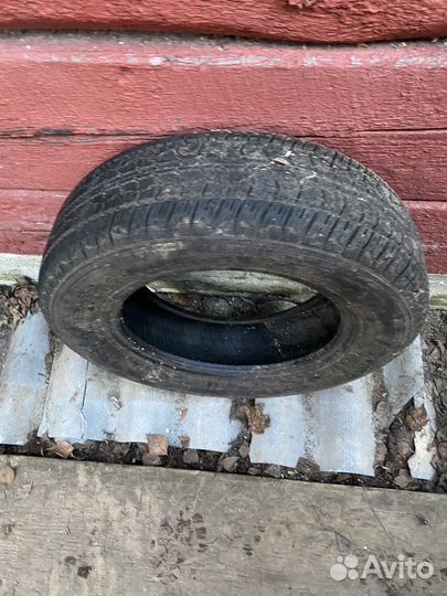 Accelera Gamma 3.75/8 R8 25J
