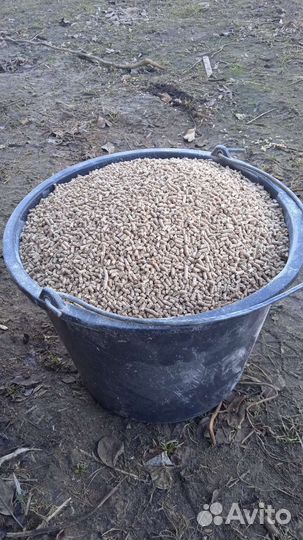 Гранула рост