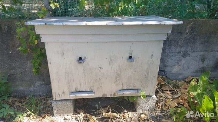 Улей-лежак варшавский