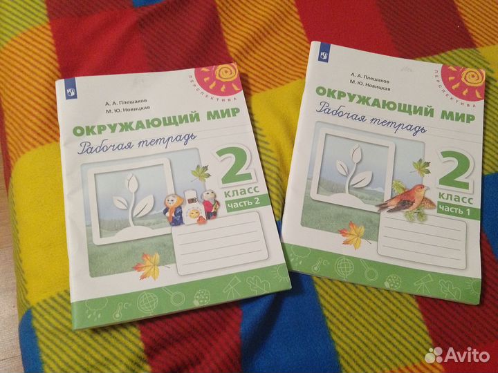 Рабочая тетрадь по окружающему миру 2 класс