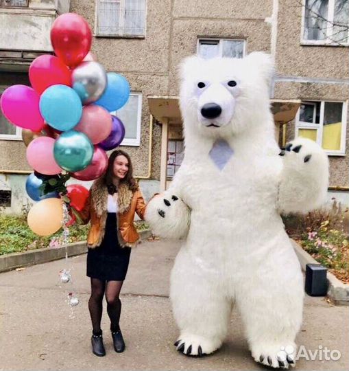 Мишки сантаклаусы