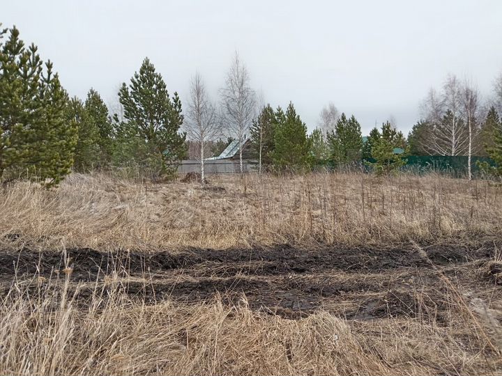 Участок 12 сот. (СНТ, ДНП)