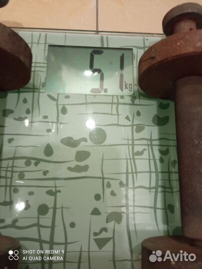 Гантели разборные 5.5кг