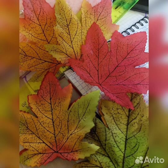 Осенние листья