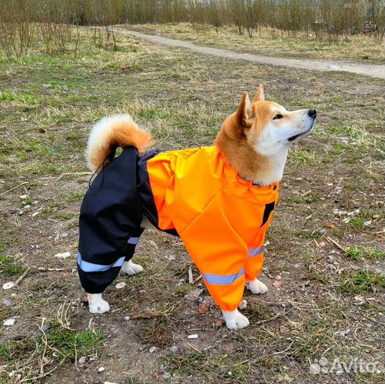 Комбинезоны дождевики для средних / крупных собак