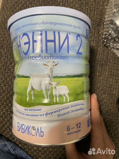 Нэнни 2 800грамм