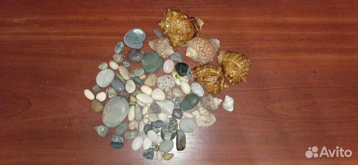 Ракушки и камушки