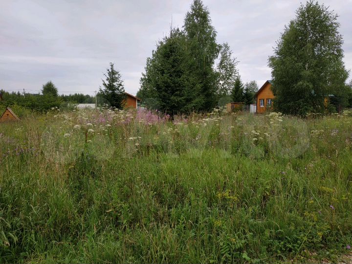 Участок 8 сот. (СНТ, ДНП)