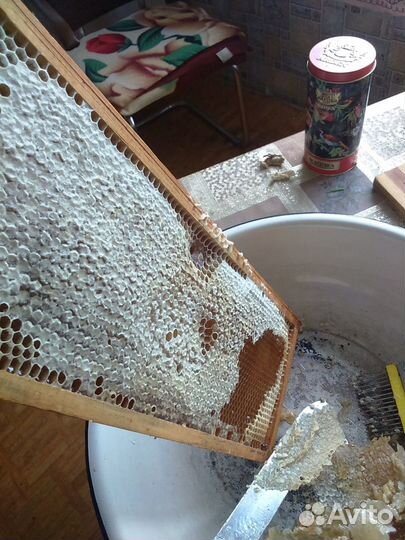 Башкирский мёд