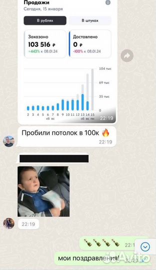 Готовый бизнес на маркетплейсе ozon под ключ