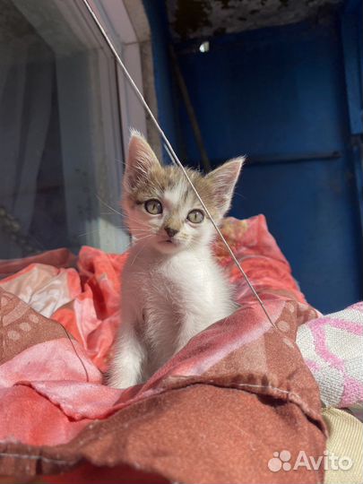 Девочка погибнет на улице