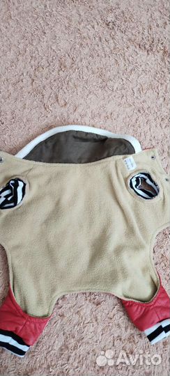 Верхняя одежда на йорка