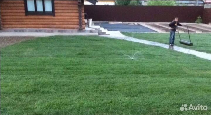 Рулонный газон sport