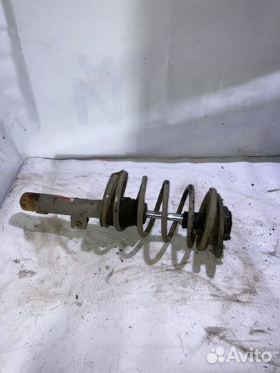 Амортизатор передний Citroen Xsara