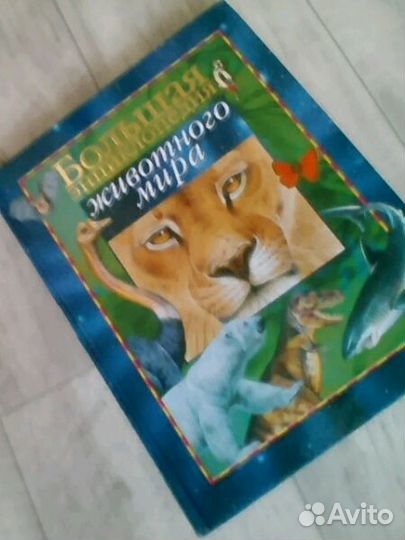 Энциклопедия