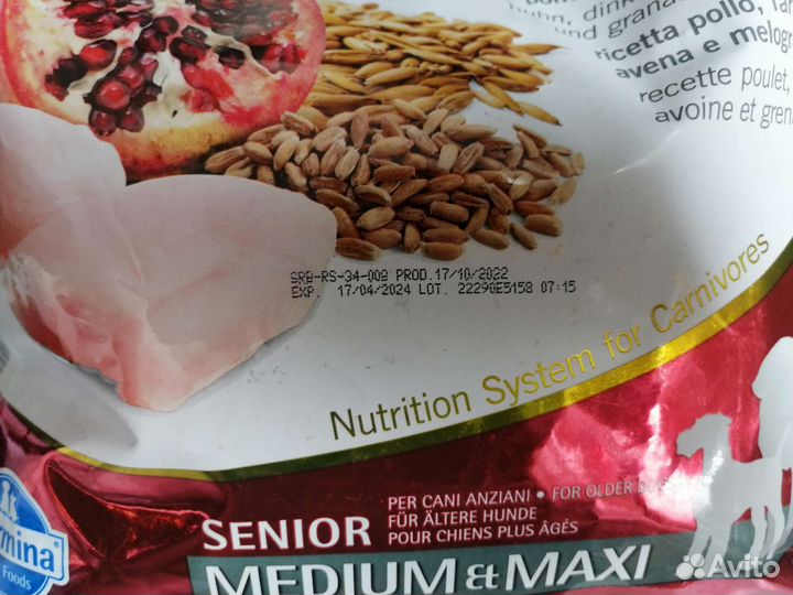 Сухой корм для собак