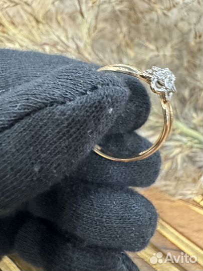 Золотое кольцо